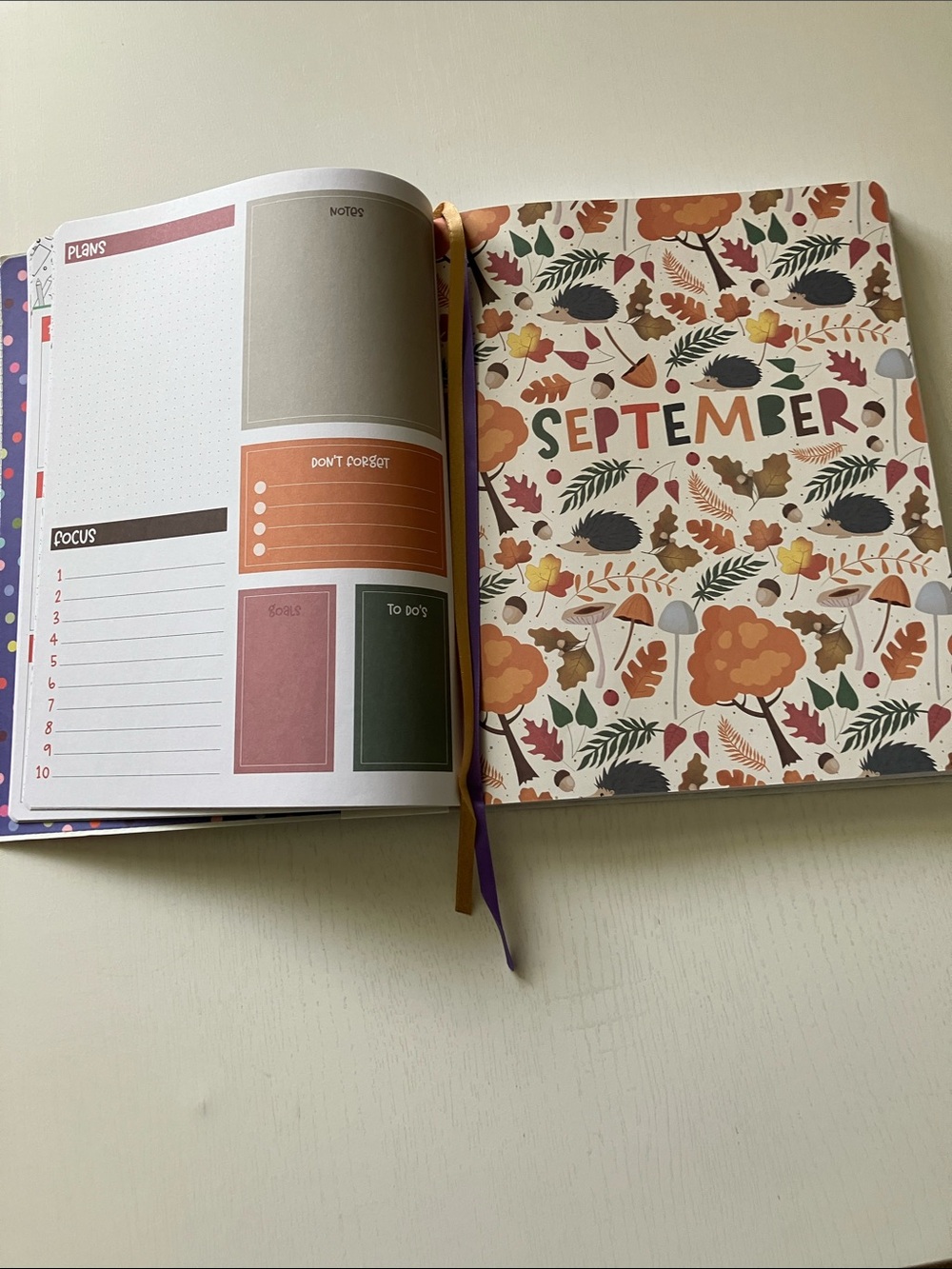 The Creative Expert 17 Month Planner - (August 2026-December 2027) NWT - Picture 13 of 16